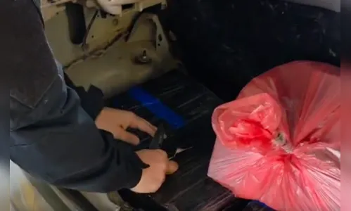 
							PRF apreende mais de 60 kg de maconha em abordagem na BR-376 em Mandaguari
						
						