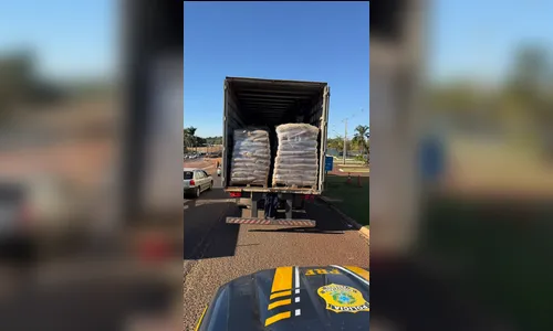 
							PRF apreende mais de 4,3 toneladas de maconha na PR-317 em Maringá
						
						