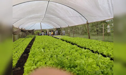
							Projeto incentiva estudantes e resgata identidade rural em São Pedro do Ivaí
						
						