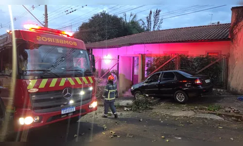 
							Motorista fica ferido após bater carro contra árvore em Apucarana
						
						
