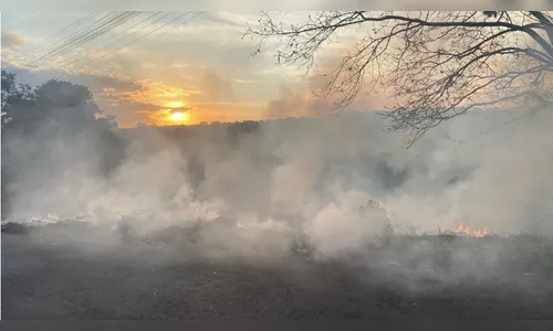 
							Corpo de Bombeiros alerta para alta de queimadas em Apucarana; vídeo
						
						