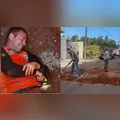 Filhote fica presa em bueiro, mobiliza trator, corte de asfalto e operação de 4h em Arapongas; VÍDEO