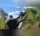 Motorista capota carro e depois sofre ataque de enxame de abelhas em Apucarana (PR)