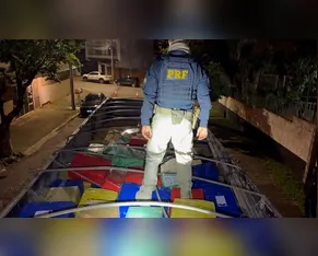 Motorista é preso com 6,8 toneladas de maconha escondidas sob carga falsa de milho em Apucarana