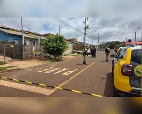 O que já se sabe sobre morte de menino atacado por pit bull em Apucarana
