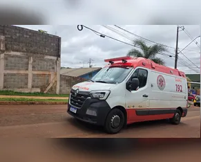 Criança morre após ser atacada por pit bull em Apucarana (PR)