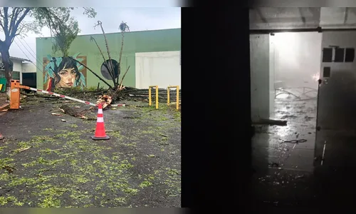 
							Unespar de Apucarana terá aulas remotas após danos causados por temporal; vídeos mostram estragos
						
						