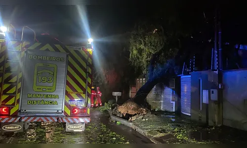 
							Apucarana registrou ventos de 125 km/h com chuva extrema durante 15 minutos, diz Simepar
						
						
