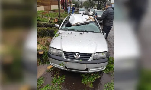 
							Árvore caiu no carro durante temporal: quem paga o prejuízo?
						
						