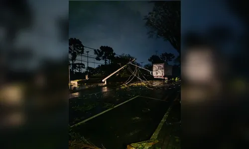 
							Apucarana registrou ventos de 125 km/h com chuva extrema durante 15 minutos, diz Simepar
						
						