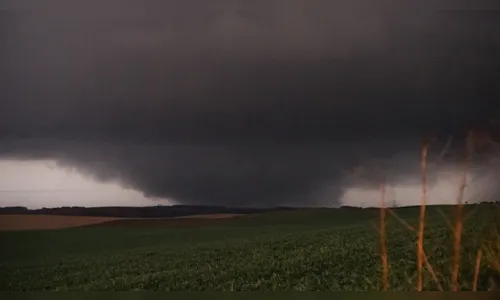 
							Defesa Civil confirma que tornado de grande porte atingiu oeste de SC
						
						