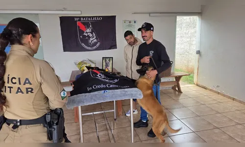 
							Emoção marca adeus ao cão policial Rintin Tin no 10º BPM de Apucarana; vídeo
						
						