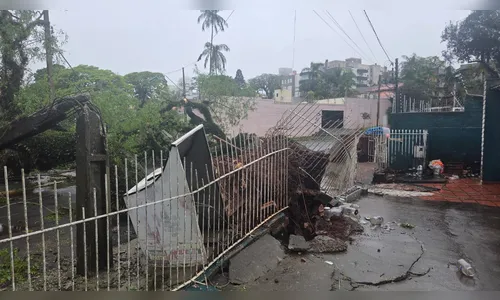 
							“Estava acabando o mundo”: moradores relatam medo durante temporal em Apucarana
						
						