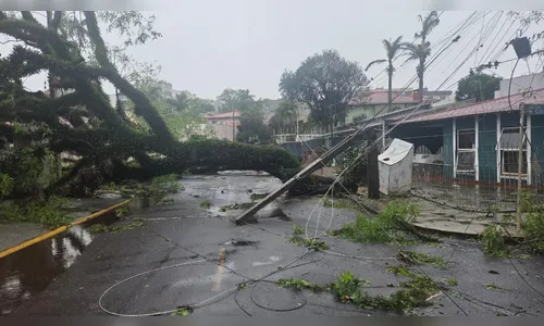 
							“Estava acabando o mundo”: moradores relatam medo durante temporal em Apucarana
						
						