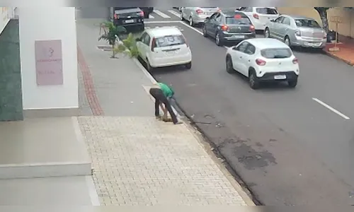 
							Homem é filmado arrancando e furtando árvore de calçada em Apucarana
						
						