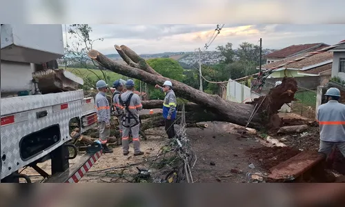 
							Imóveis ainda sem luz estão espalhados por vários pontos de Apucarana, diz Copel
						
						