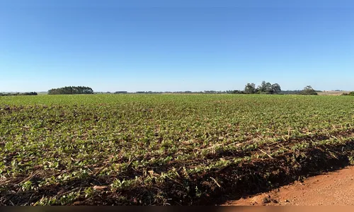 
							Entenda a origem do mau cheiro que afeta diversas regiões de Apucarana
						
						