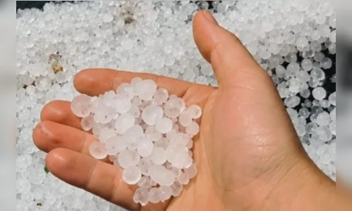 
							Municípios de SC decretam emergência após tempestades de granizo gigante
						
						