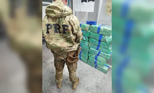
							Motorista tenta fugir de fiscalização na PR-510 e é preso com 306 kg de maconha
						
						