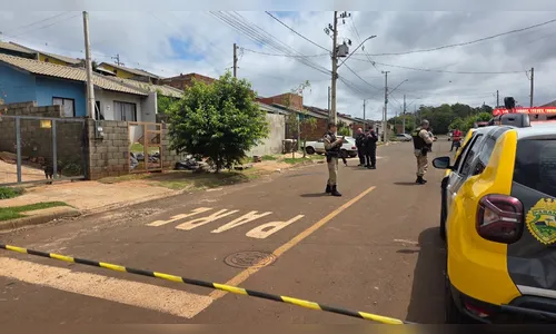 
							O que já se sabe sobre morte de menino atacado por pit bull em Apucarana
						
						