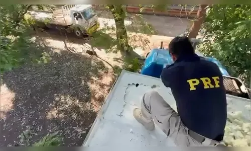 
							PRF apreende 1,5 tonelada de maconha escondida em carga de frango congelado em Cambé
						
						