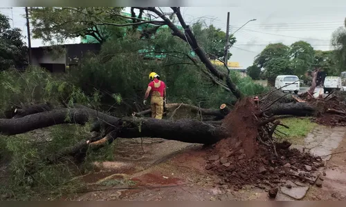 
							Temporal com ventos de 125 km/h destelha Catedral em cidade do PR e deixa rastro de destruição
						
						