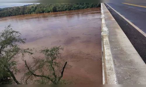 
							Rio Ivaí sobe quase 5 metros nas últimas 24 horas; veja vídeo
						
						