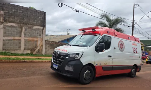 
							Criança morre após ser atacada por pit bull em Apucarana (PR)
						
						