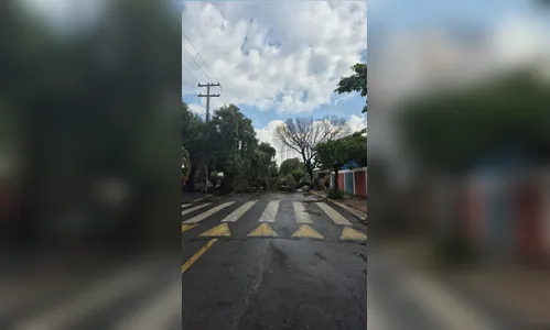 
							Temporal causa estragos em diferentes pontos de Apucarana; veja fotos
						
						