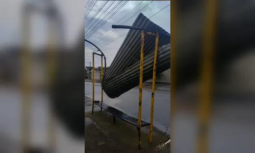 
							Temporal causa estragos em diferentes pontos de Apucarana; veja fotos
						
						