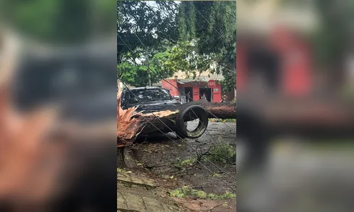 
							Temporal causa estragos em diferentes pontos de Apucarana; veja fotos
						
						