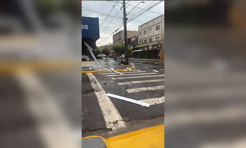 
							Temporal causa estragos em diferentes pontos de Apucarana; veja fotos
						
						
