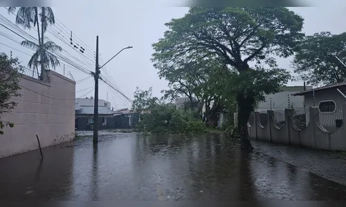 
							43 mil imóveis seguem sem energia após temporal em Apucarana, informa Copel
						
						