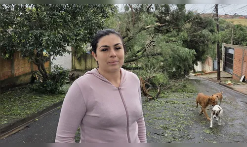 
							Temporal destelha casa e deixa bebê que depende de oxigênio sem energia em Apucarana (PR)
						
						