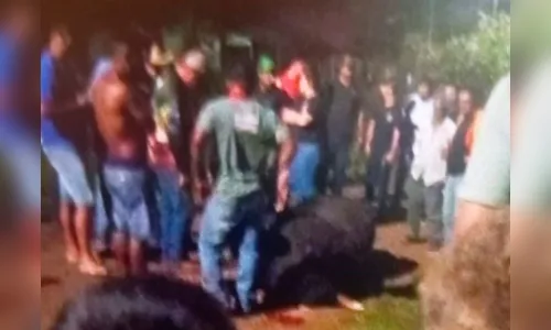 Touro de rodeio escapa, mata mulher na rua e é morto por moradores no PR