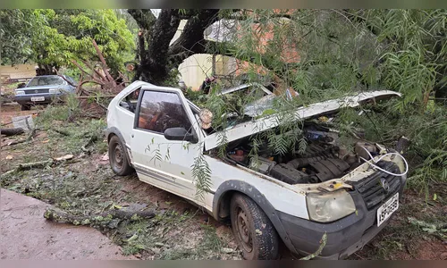 
							Temporal destrói carro e deixa família de criança com epilepsia sem transporte para emergências
						
						