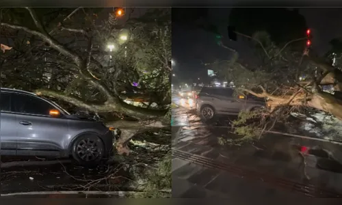 Imagem da matéria