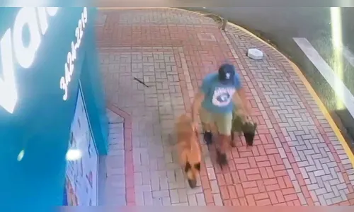 Cão morre após ataque na Praça do 28; tutora fica ferida e responsável foge