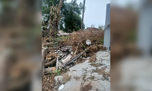 
							Moradora está há 16 dias sem luz após temporal em Apucarana
						
						