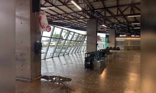 
							Temporal em Londrina destrói estrutura de vidro da Rodoviária e provoca quedas de árvores
						
						