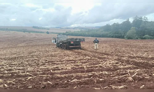 
							Motorista foge e abandona 1 tonelada de maconha no PR após perseguição
						
						