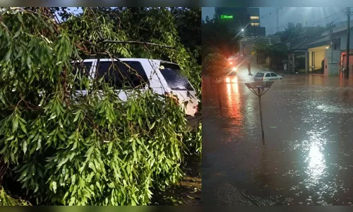 
							Temporal gera estragos e transtornos em municípios do Vale do Ivaí
						
						