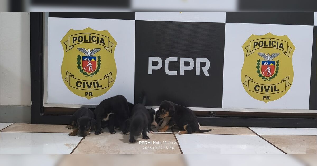 imagem