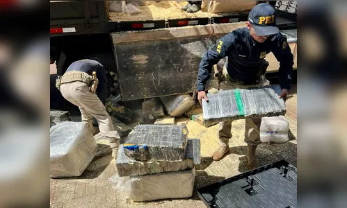 
							PRF apreende 2,6 toneladas de maconha escondidas em carga de maravalha no Paraná; veja vídeo
						
						