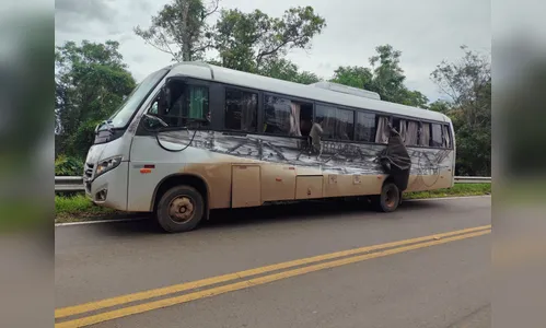 Caminhão de madeira colide com ônibus, tomba e atinge carro na PR-459; 9 ficam feridos