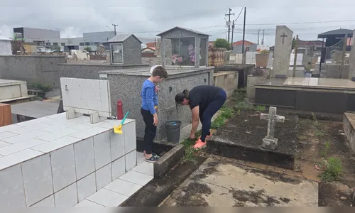 
							Finados: sol anima moradores a realizar limpeza de túmulos em Apucarana
						
						