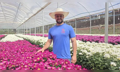 
							Finados movimenta produção de flores em Apucarana
						
						