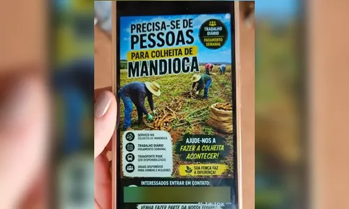 Resgatados de trabalho escravo no PR comiam mistura de farinha, água e sal