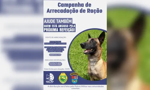 
							Campanha de Arrecadação de Ração acontece em Apucarana
						
						