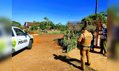 
							Polícia Militar de Apucarana realiza patrulha rural nesta terça
						
						
